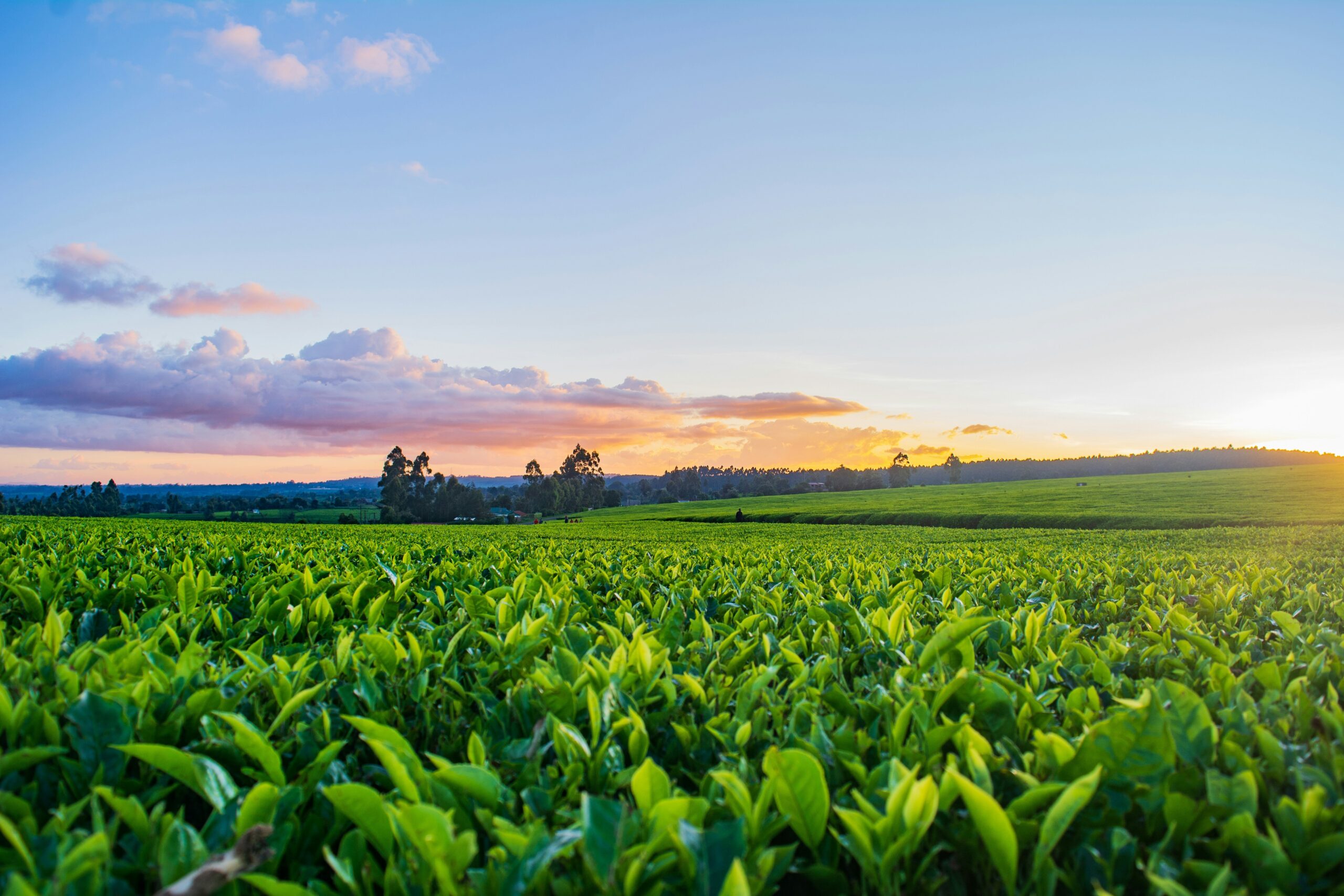 Hello World Featured Image